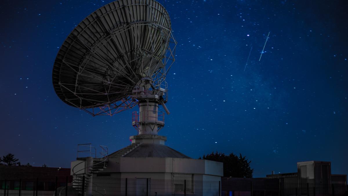 lamna-the-shark-zafhaopfvkk-unsplash