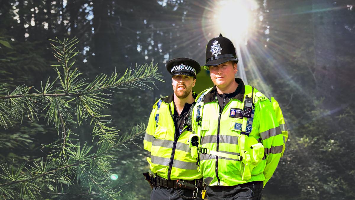 sigmund-ux6u9lnkfxu-unsplash