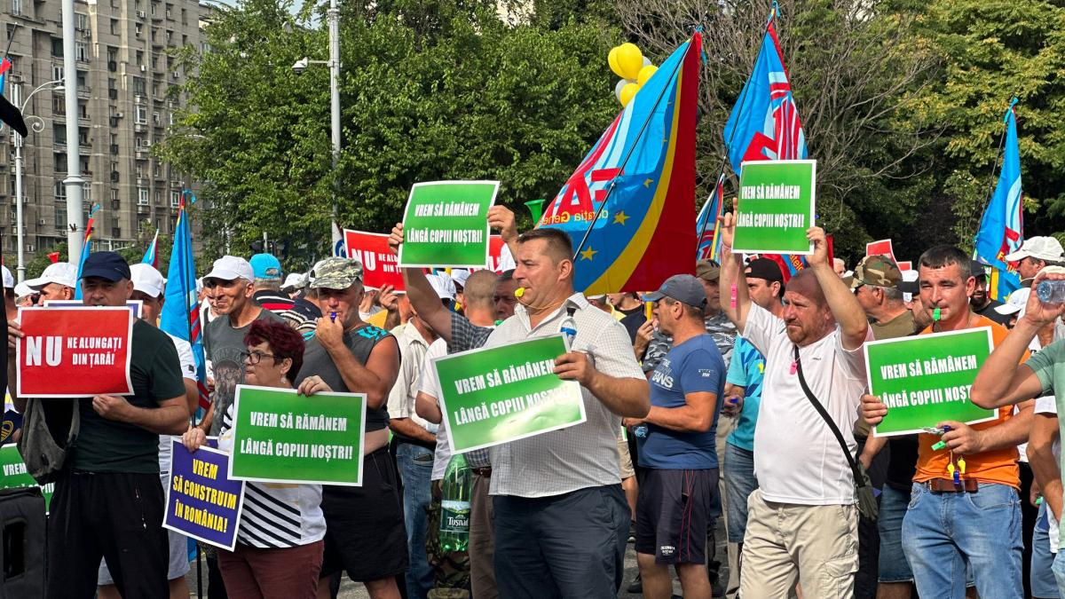 protest-constructori