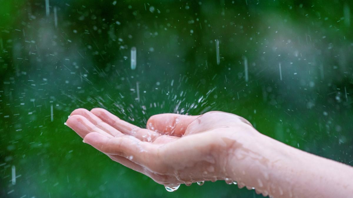 close-up-wet-female-hands-rain