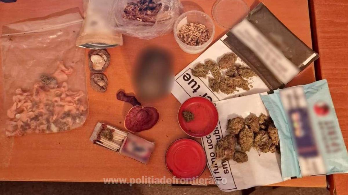 trei-tineri--care-ascundeau-in-bagaje-ciuperci-halucinogene-si-substante-interzise--opriti-la-frontiera