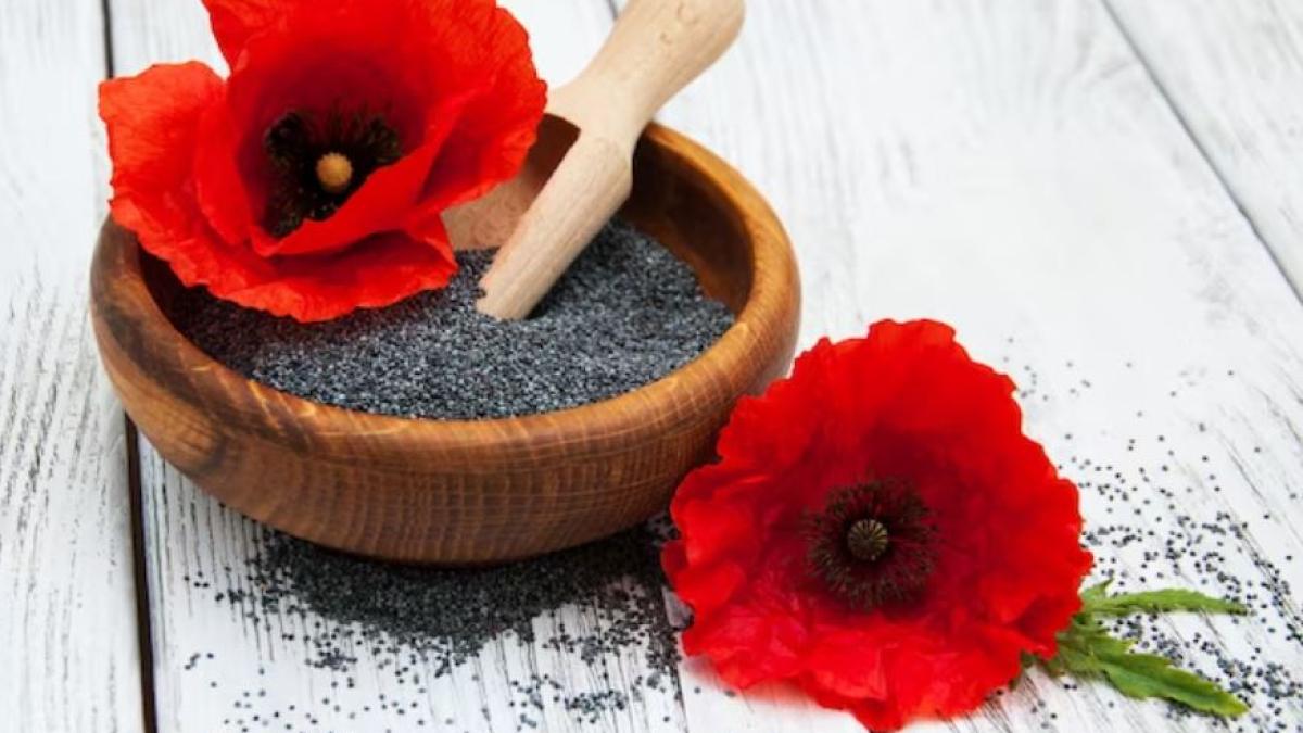 turtele-cu-mac--dupa-reteta-bunicii--sunt-delicioase--prepara-le-chiar-azi-si-te-vei-convinge