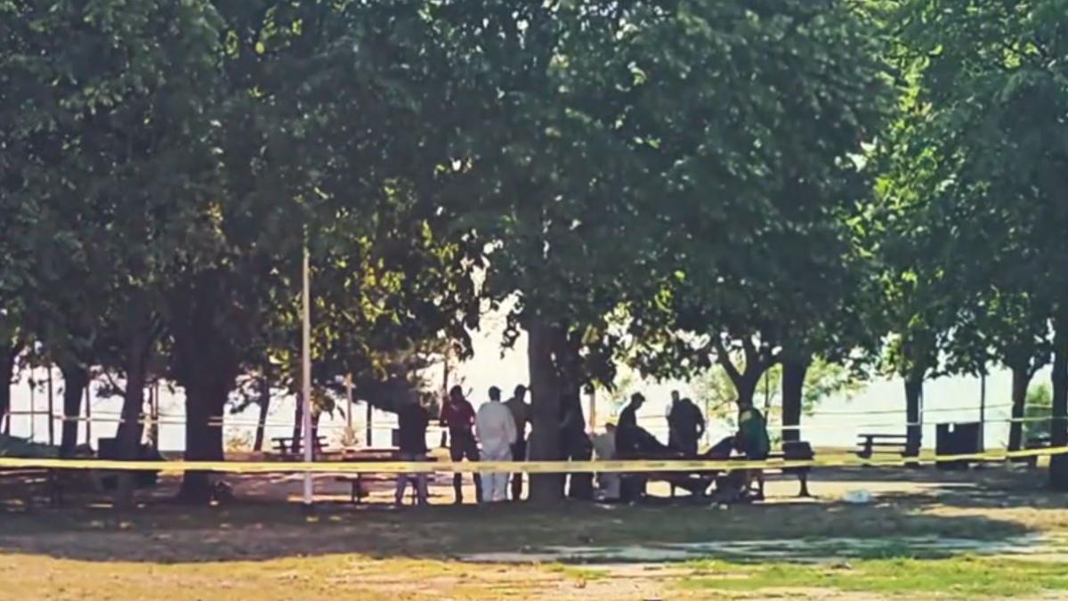 tanara-de-18-ani--ucisa-de-cea-mai-buna-prietena-si-aruncata-sub-o-banca