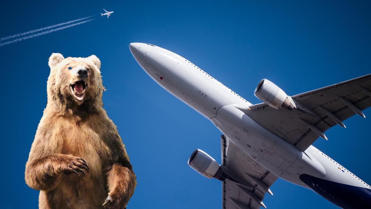 samuel-s-photos-cbpsokhlthg-unsplash