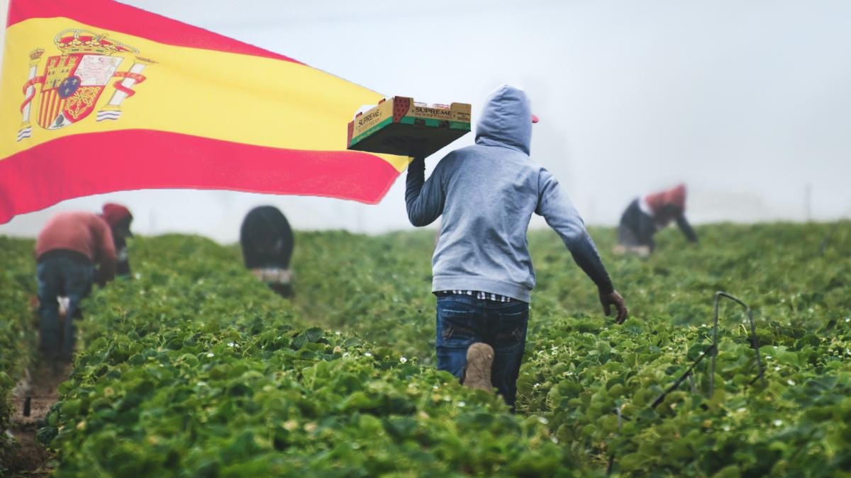 tim-mossholder-xdwea2kaeja-unsplash