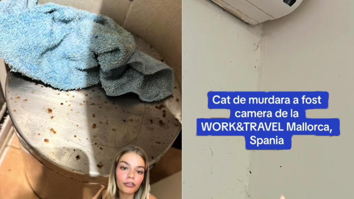 cazare-work-and-travel