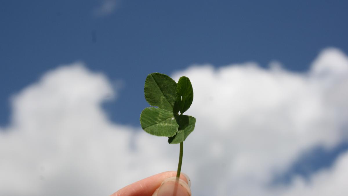 barbara-krysztofiak-h86pf6mmo1u-unsplash