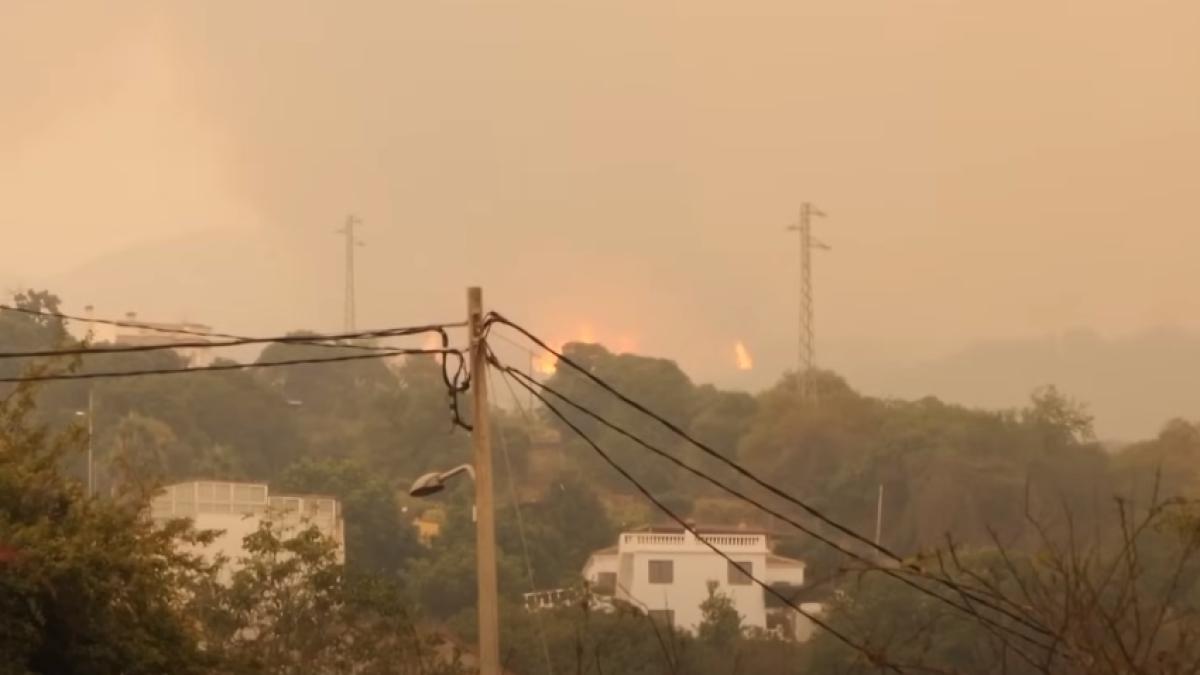 incendiu-tenerife-20-august-flacari