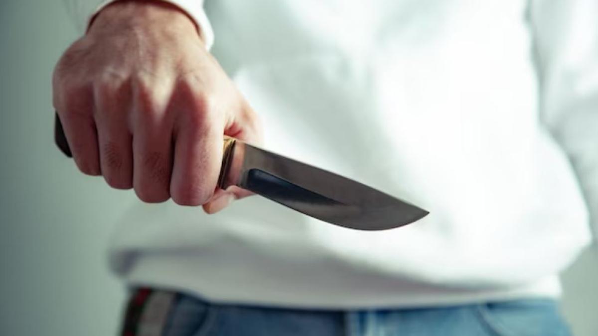 neintelegeri-din-cauza-unui-scuter--un-roman-a-amenintat-patru-adolescenti-cu-un-cutit-pe-o-strada-din-viena