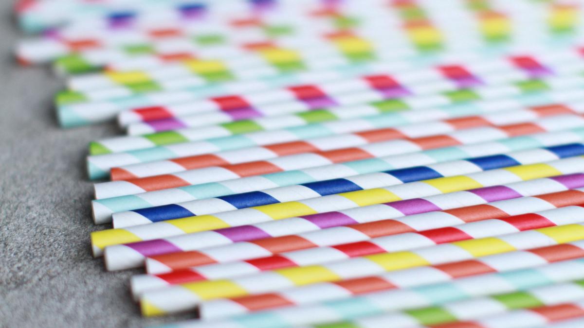 meghan-rodgers-nlsvkqtjoz0-unsplash