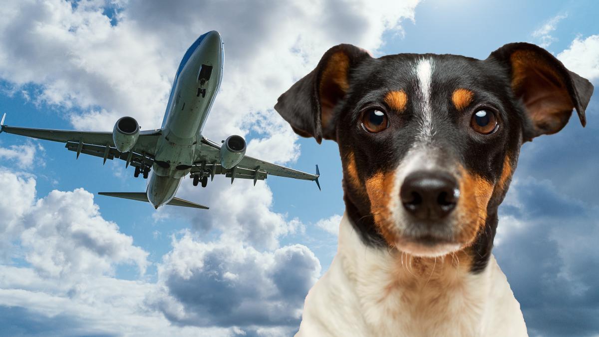 kevin-woblick-udubspwbv2c-unsplash