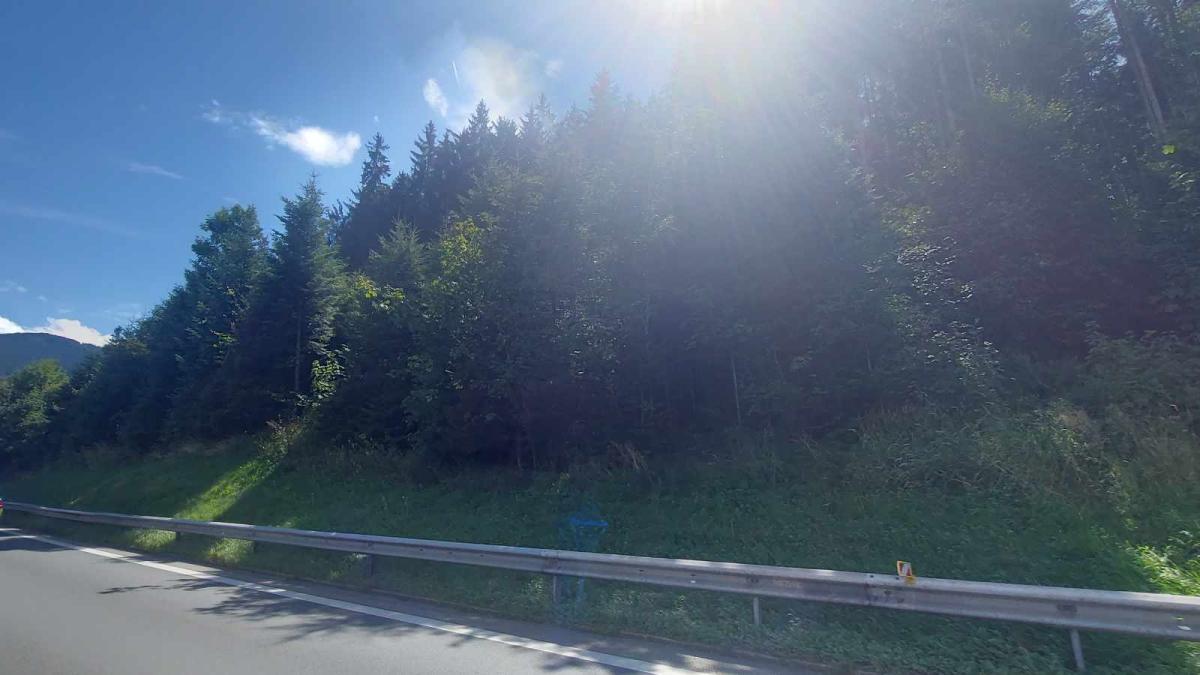 padure-polizei-poliie-germania