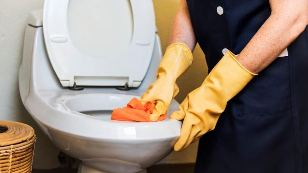 de-ce-gospodinele-cu-experienta-toarna-sampon-in-toaleta--vei-fi-surprins-de-explicatie