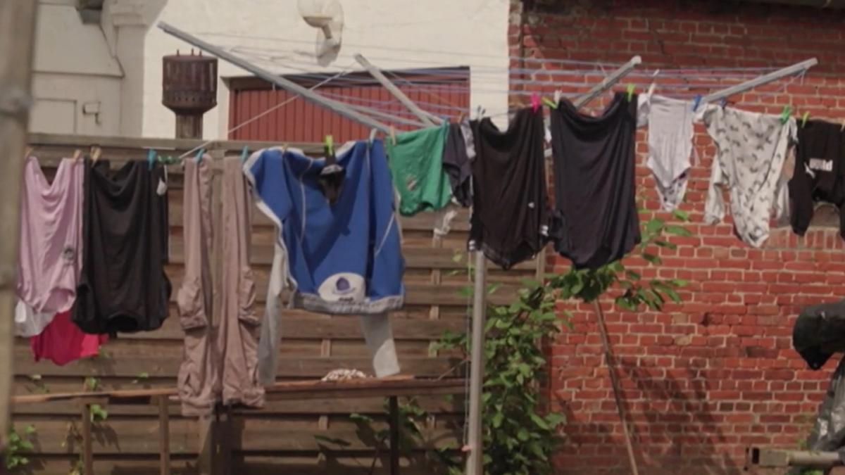 romani-haine-muncitori-germania