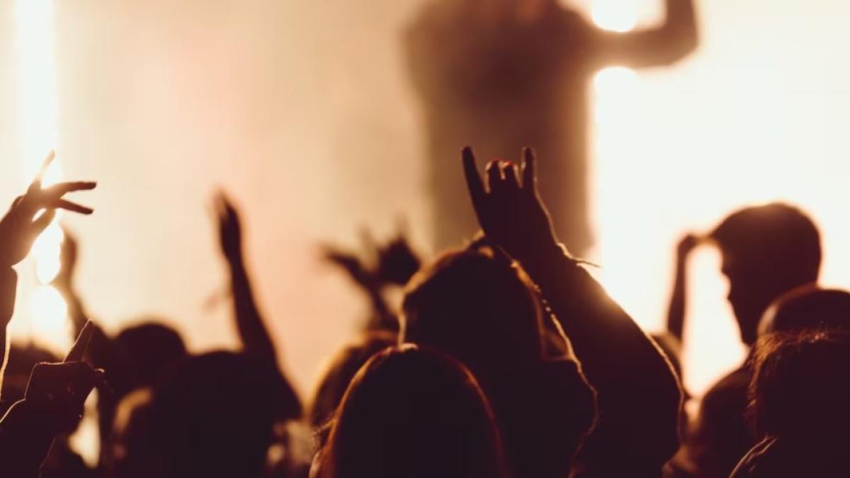 trei-romani-au-intrat-cu-droguri-la-un-festival-de-muzica-rock