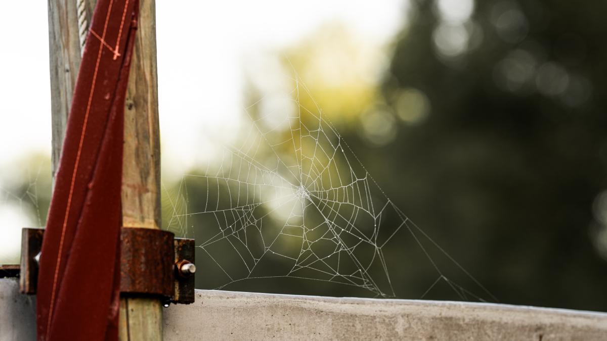 guillaume-de-germain-eazmuqw58vc-unsplash