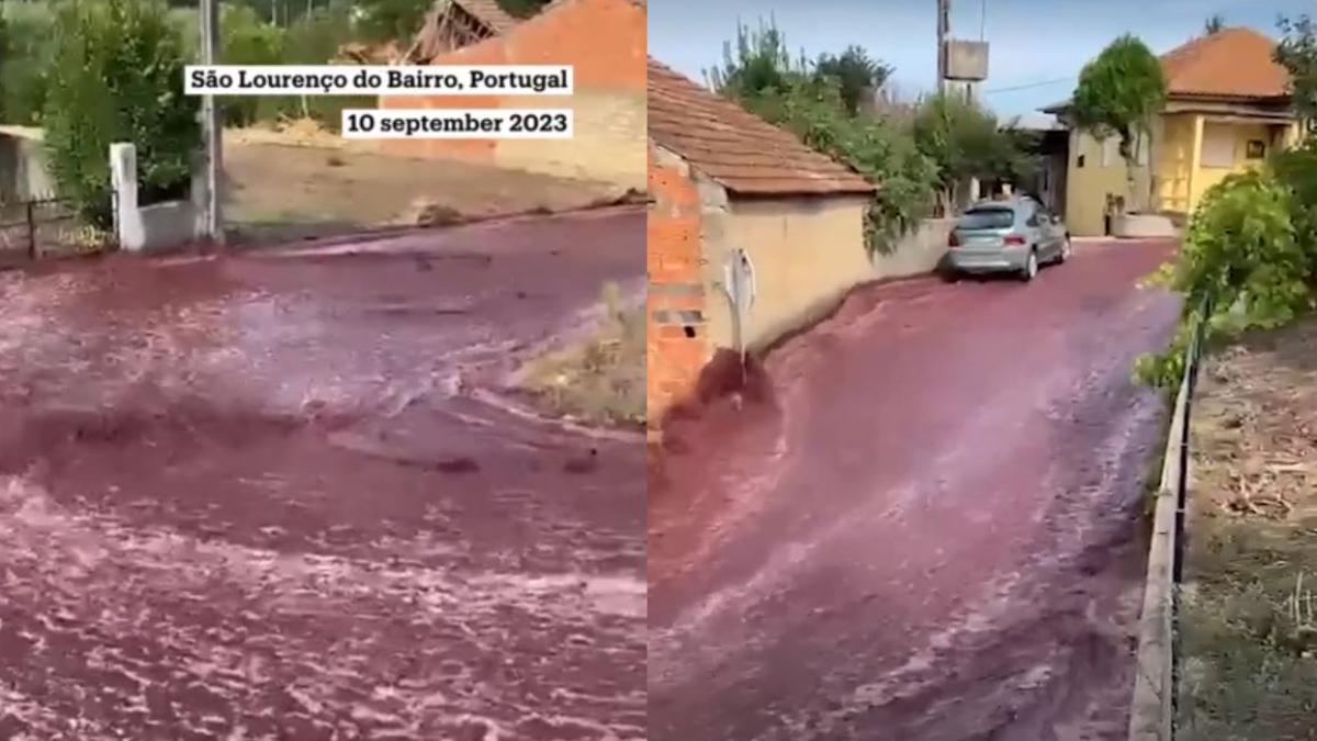 doua-milioane-de-litri-de-vin-rosu-s-au-scurs-intr-un-sat-portughez