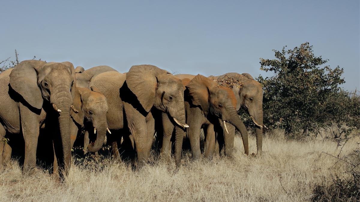 leon-pauleikhoff-3zrwbrei4f8-unsplash