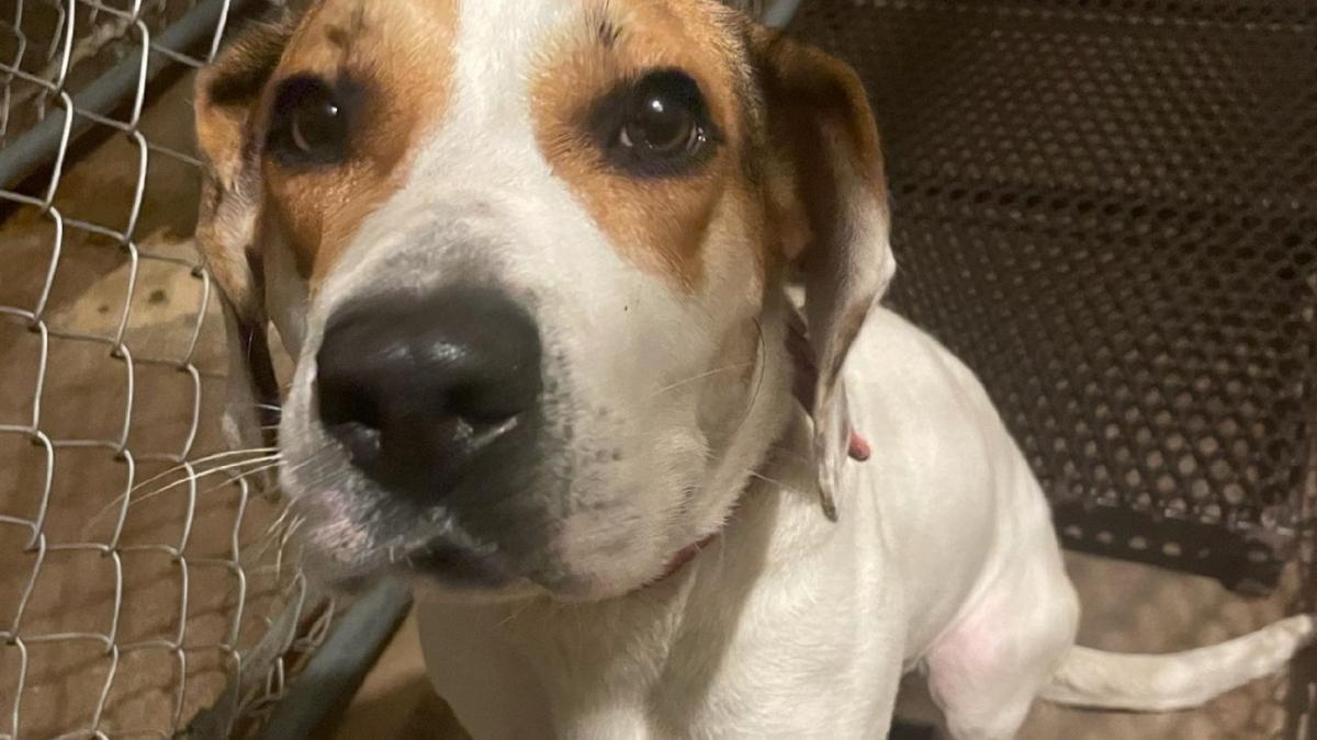 370245118_672971188199589_9078348869684955273_n