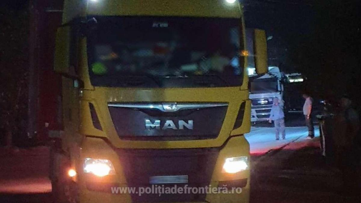 tigari-de-contrabanda--ascunse-printre-borcane--descoperite-la-sculeni