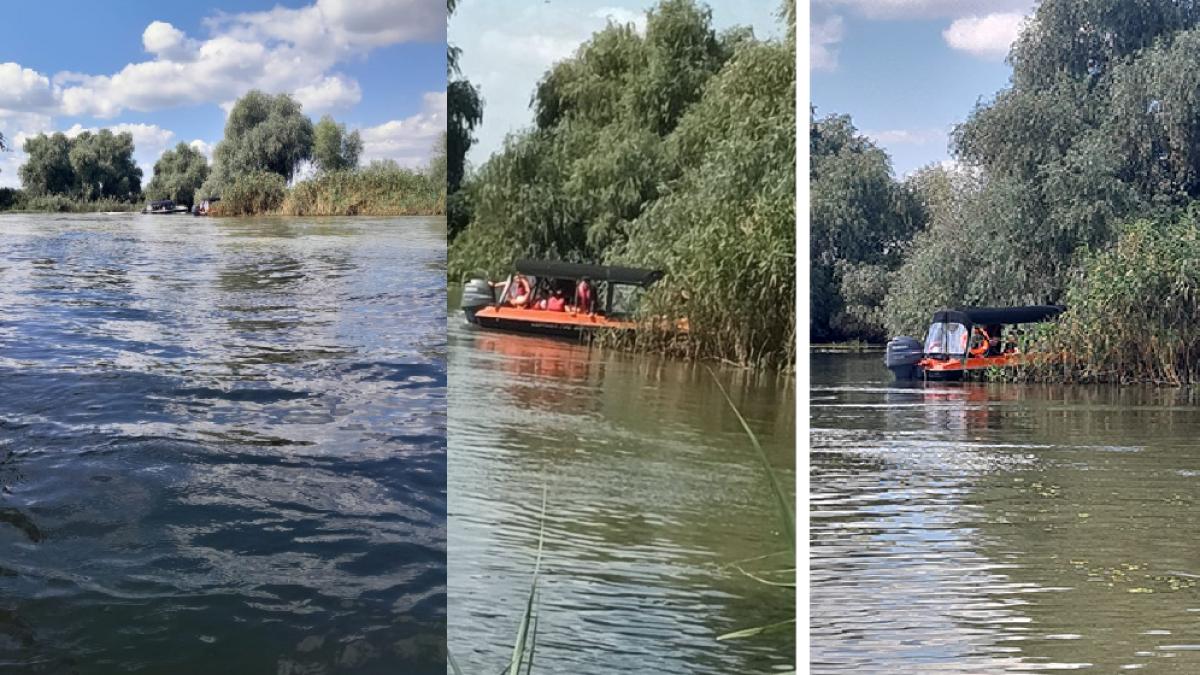 baca-rasturnata-olgua