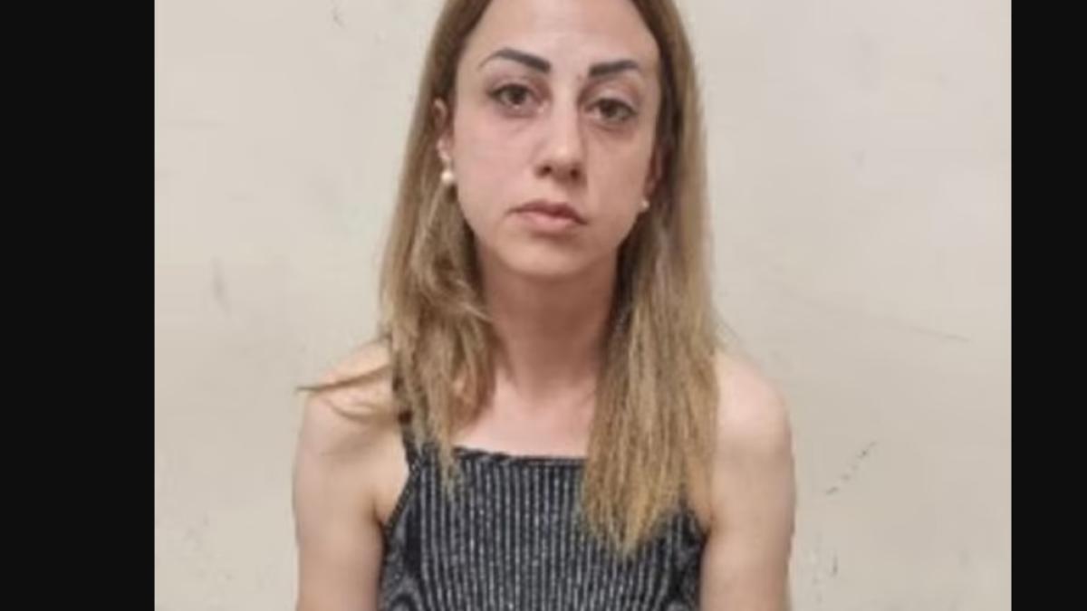 diana-popovici---romanca-furt-marea-britanie---main