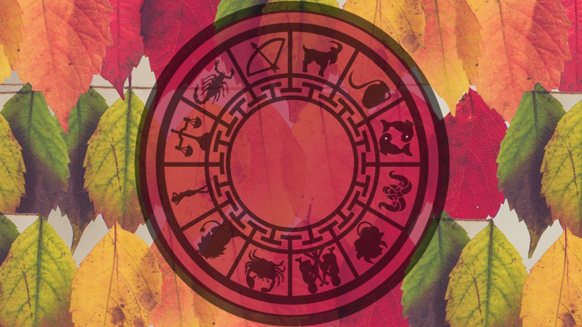 chris-lawton-5ihz5whosqe-unsplash