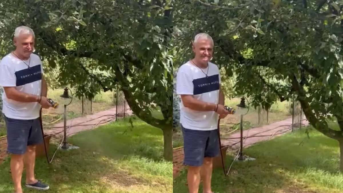 dragnea-dezminte-ca-ar-fi-ajuns-la-spital---ma-ocup-de-gradinarit-si-ma-bucur-de-soare