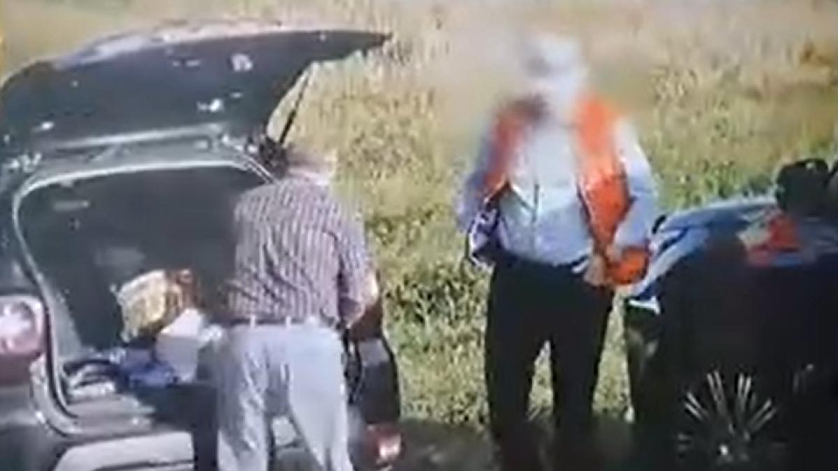 flgrant-buzatu-farmazon