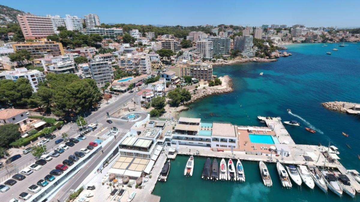 mallorca-afectata-de-o-specie-invaziva-de-tantari--autoritatile-in-alerta