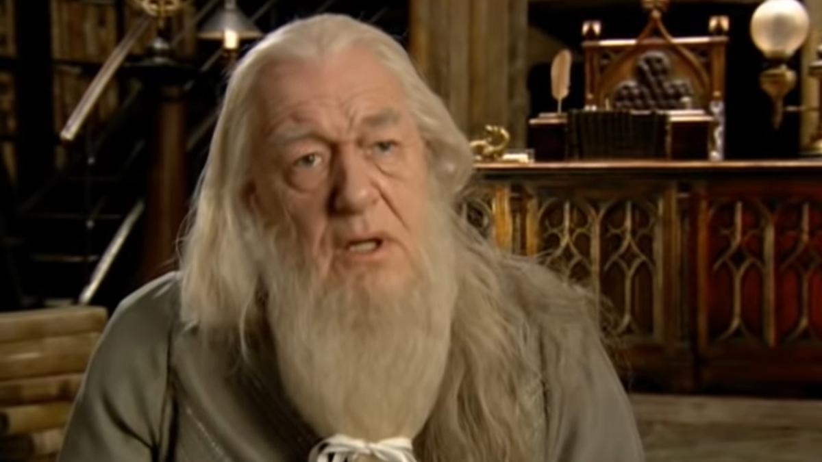 dumbledor-michel-gmbon