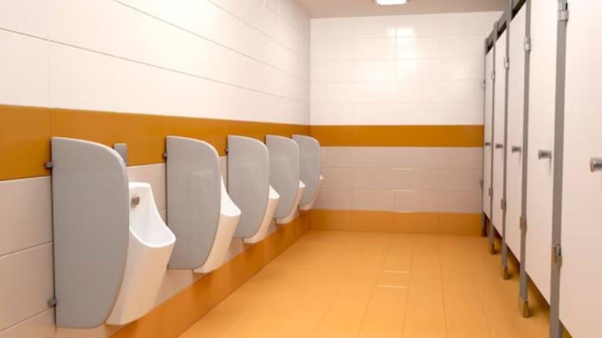 toaleta-unei-scoli-din-germania--vandalizata-din-cauza-provocarii-tiktok