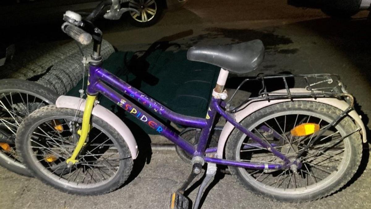 hoti-romani--prinsi-in-flagrant-in-austria--aveau-masina-burdusita-cu-bunurile-furate