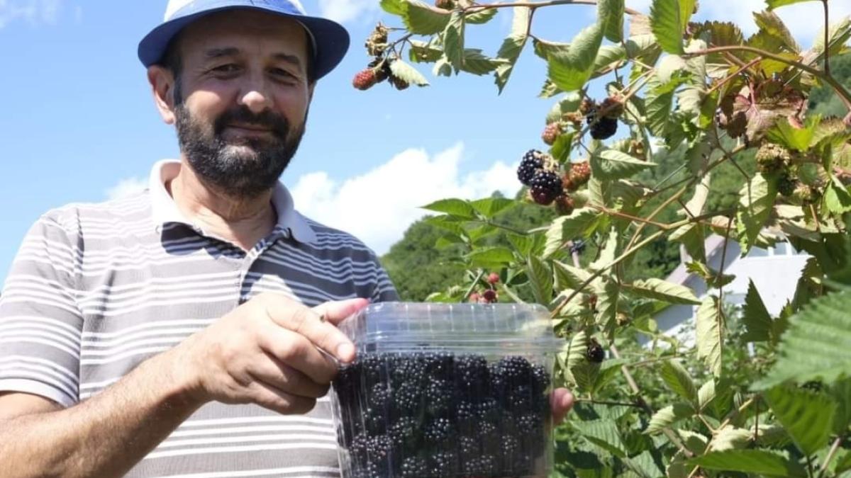 gelu-vlasin-roman-intors-din-spania