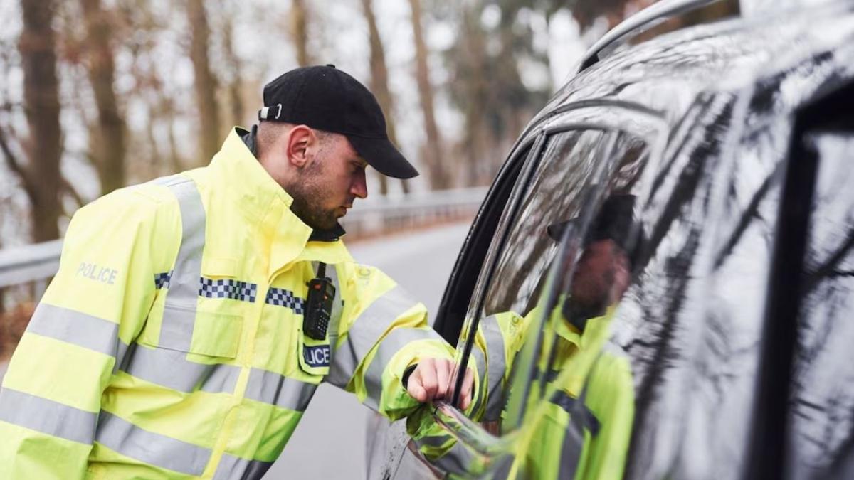 roman-din-germania--salvat-de-seful-sau-de-inchisoare