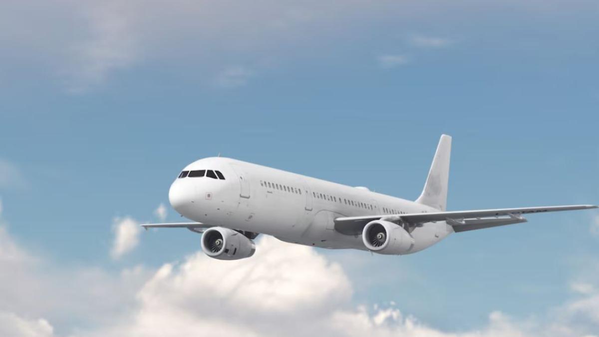 avion-cu-zeci-de-pasageri-intors-din-drum--o-pasare-a-fost-aspirata-de-motor