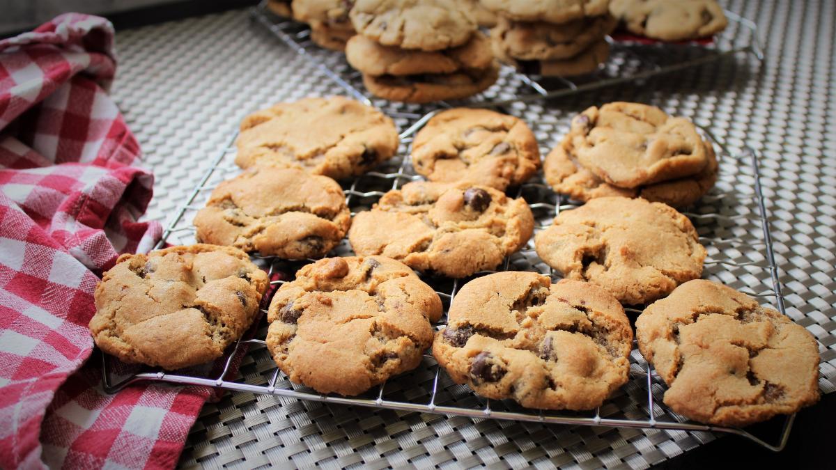 lisa-hanly-8ytwt-j230s-unsplash