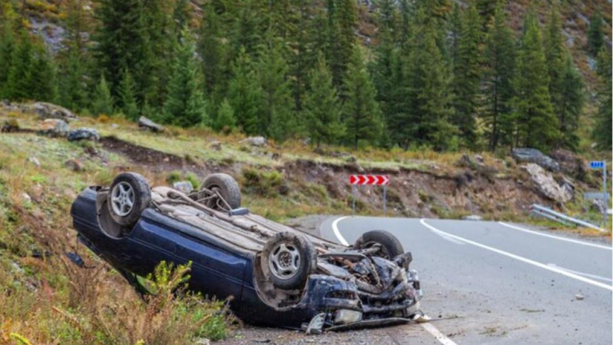 un-roman-a-ramas-fara-permis-de-conducere-in-austria-din-cauza-unei-capre