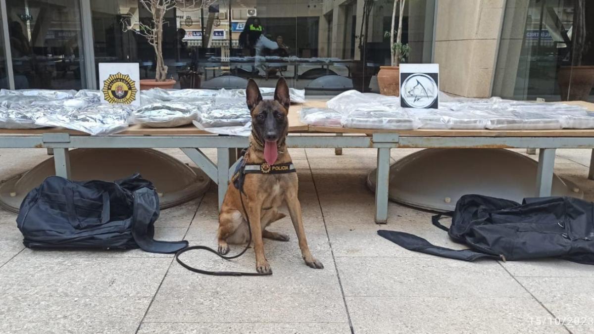 trei-soferi-romani-prinsi-cu-droguri-alicante-cainele-kata