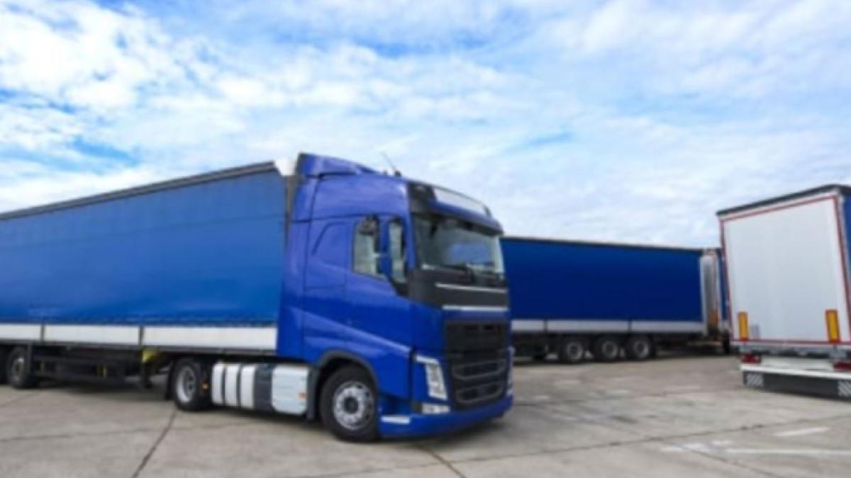 doua-camioane--verificate-la-iesirea-din-tara--soferii-s-au-ales--pe-loc--cu-dosare-penale