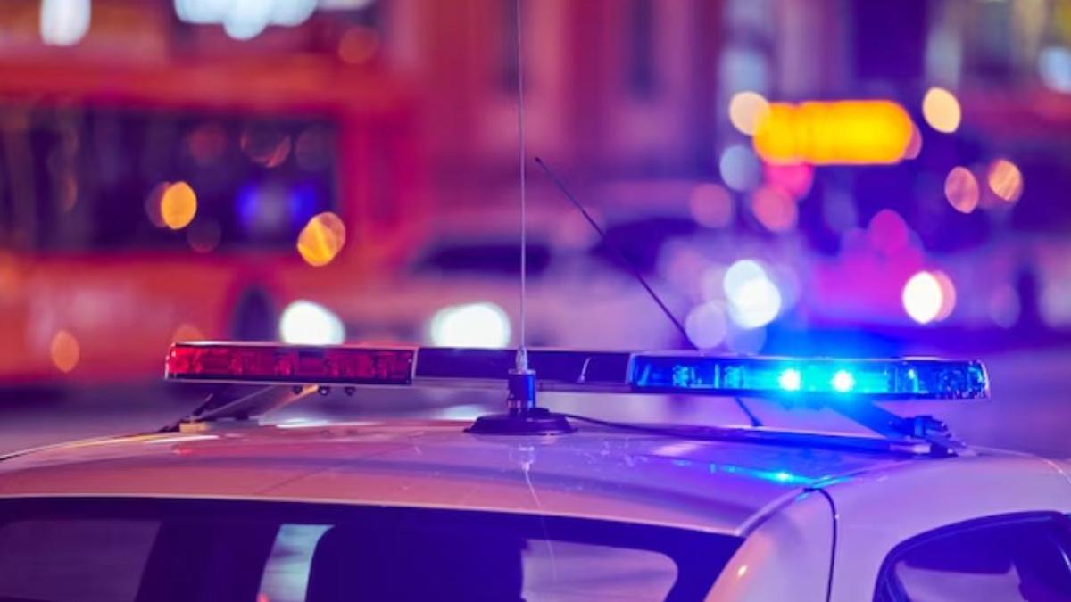 romanca-care-a-comis-mai-multe-infractiuni-comise-in-tarile-de-jos--prinsa-de-politisti-la-moinesti