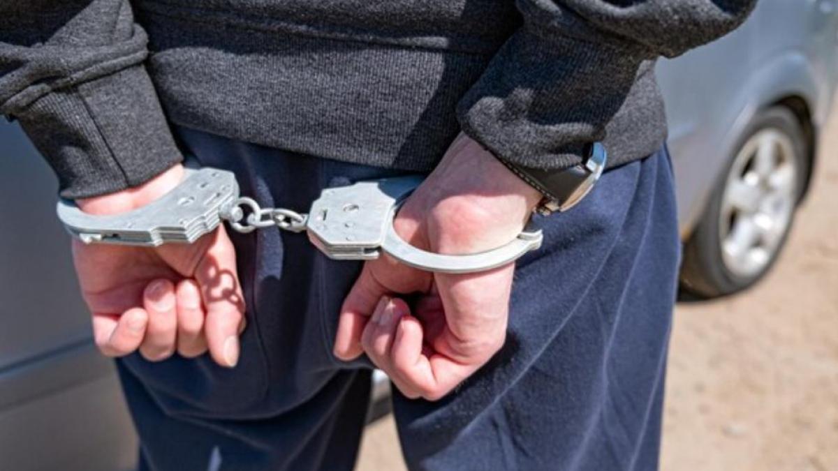 un-roman-din-germania--care-a-atacat-doua-femei--retinut-dupa-trei-luni-de-cautari--a-fost-depistat-in-baza-adn-ului