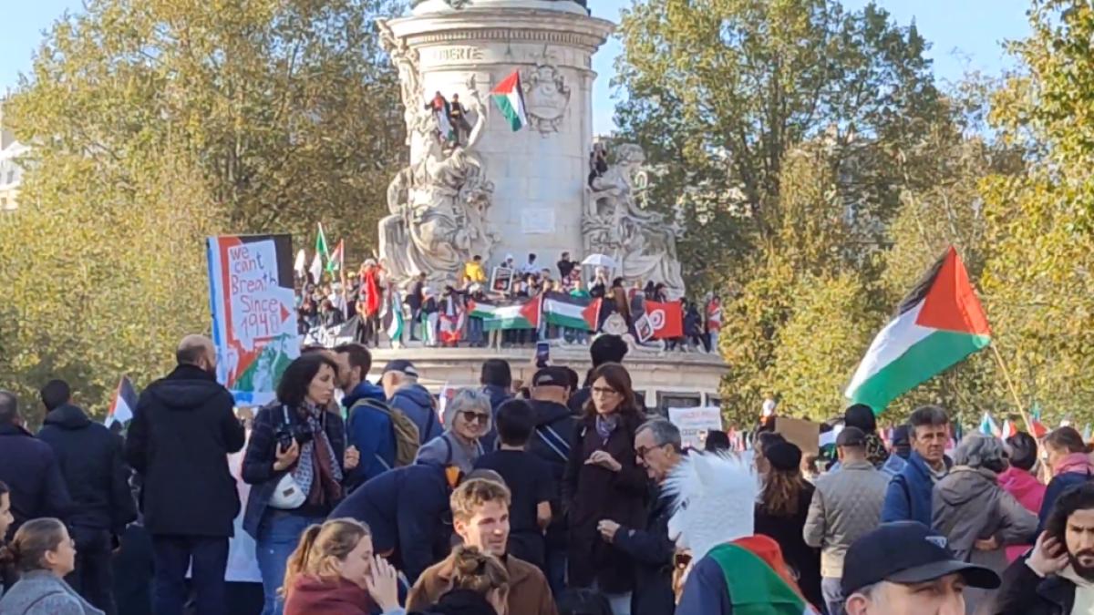 manifestatie-pro-palestina-paris
