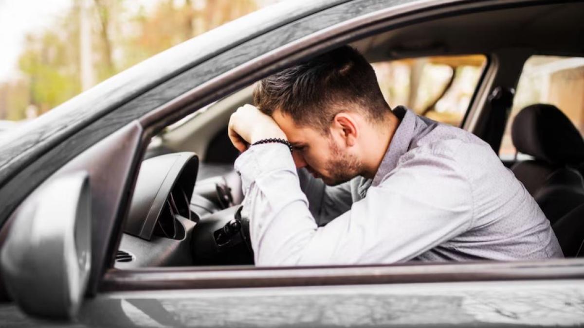 roman--prins-drogat-la-volan--barbatul-avea-acasa-peste-un-kilogram-de-canabis