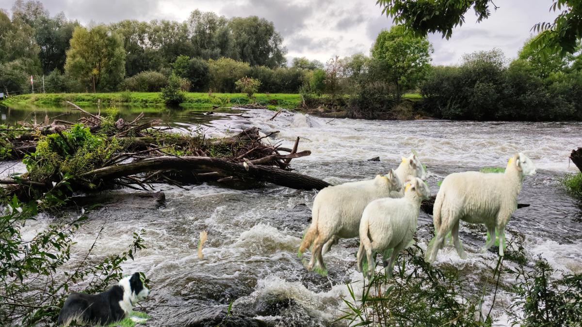 nazrin-babashova-z3epzhjvbqa-unsplash