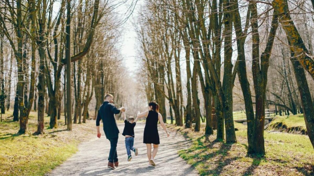 horoscop-pentru-25-29-octombrie--rac--vei-pleca-intr-o-calatorie-de-afaceri--varsator--te-vei-confrunta-cu-provocari--previziuni-complete