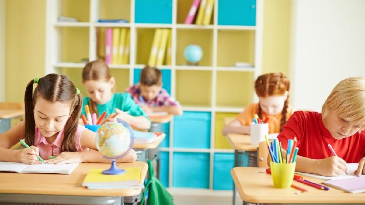 elisabeta-burduja-cioata--presedintele-centrului-de-cultura-italo-romaneasca-aps-torino---dorinta-noastra-este-infiintarea-de-scoli-recunoscute-pe-teritoriul-italiei