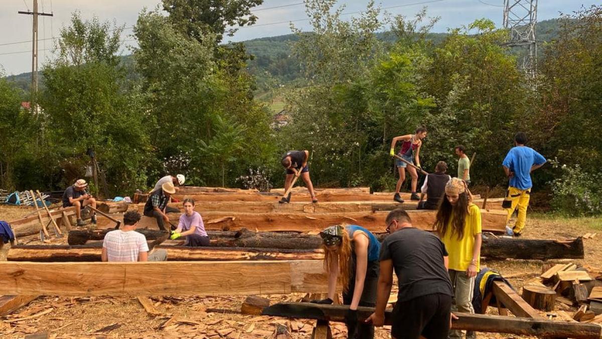 mihai-lehene-voluntariat