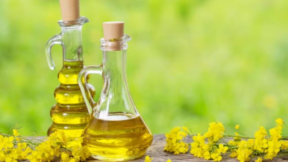 uleiul-de-masline-ar-putea-devenit-un-articol-de-lux--esecul-recoltei-creste-preturile