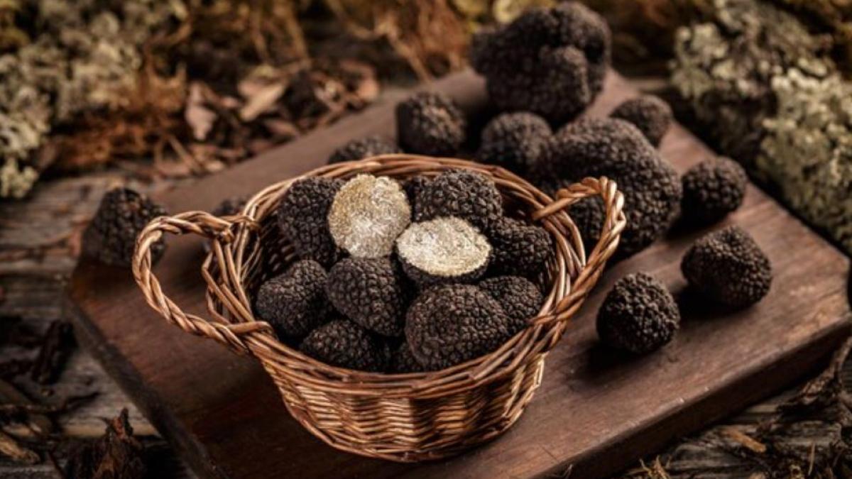 un-sofer-roman-urmarit-ca-n-filme-dupa-ce-nu-a-oprit-la-semnalul-politistilor--barbatul-avea-in-masina-90-de-kilograme-de-trufe-negre